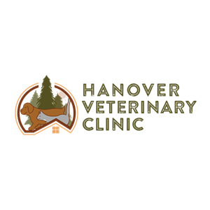 New York, Health, Hanover Veterinary Clinic
