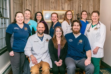 New York, Health, Hanover Veterinary Clinic