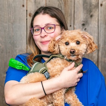 New York, Health, Hanover Veterinary Clinic