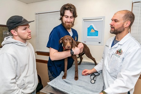 New York, Health, Hanover Veterinary Clinic