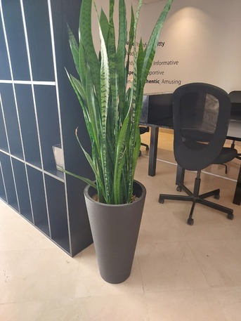 Jeddah, Furniture, SAR 10000,  Office Furniture