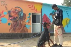 New Delhi, Pet Sitting, Dog Trainer Online Consultation &ndash; Expert Guidance For Every Dog Owner