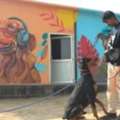 Dog Trainer Online Consultation &ndash; Expert Guidance For Every Dog Owner
