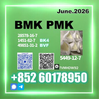 Berlin, Materials, USD 170,  BMK CAS 5449-12-7&28578-16-7 New PMK Product Detail