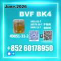 USD 140,  BVF CAS 49851-31-2 Trusted Worldwide Supplier