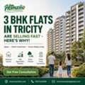 INR 10000,  Ready-to-Move 3 BHK Flats Listed On Homziio &ndash; Check Today