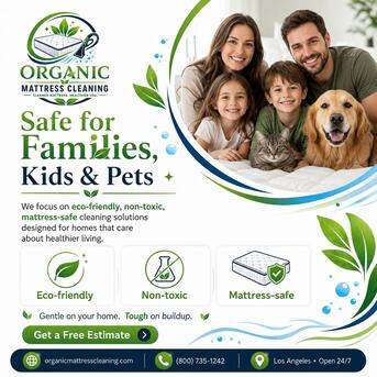 New York, Cleaning, Organic Mattress Cleaning