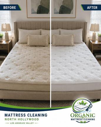 New York, Cleaning, Organic Mattress Cleaning