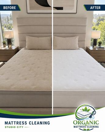 New York, Cleaning, Organic Mattress Cleaning