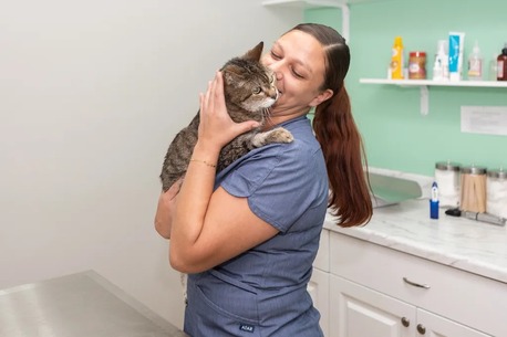New York, Job Seekers, Animal Doctors Of South Tampa
