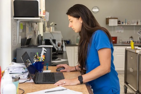 New York, Job Seekers, Animal Doctors Of South Tampa