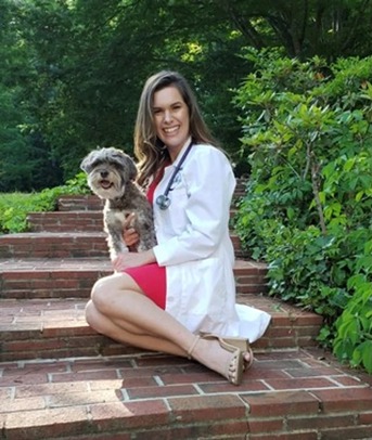 New York, Job Seekers, Animal Doctors Of South Tampa
