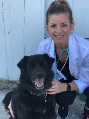 New York, Job Seekers, Animal Doctors Of South Tampa