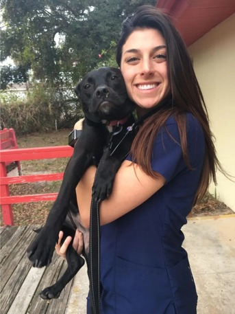 New York, Job Seekers, Animal Doctors Of South Tampa