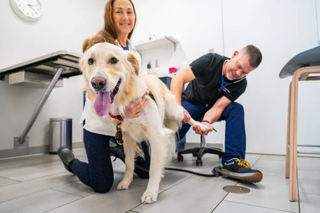 New York, Health, Southdale Pet Hospital