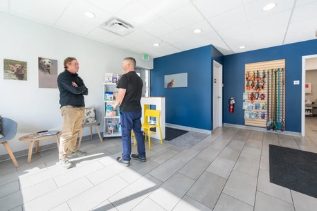 New York, Health, Southdale Pet Hospital