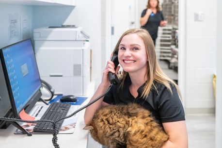 New York, Health, Southdale Pet Hospital