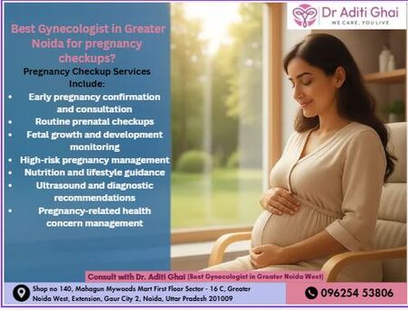 Greater Noida, Health & Beauty Items, Best Gynecologist In Greater Noida For Pregnancy Checkups?