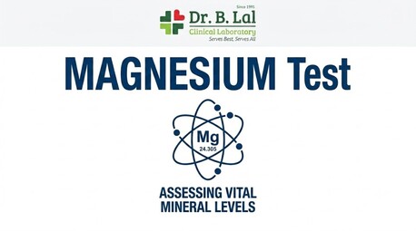 Jaipur, Health & Beauty Items, INR 500,  Reliable Magnesium Test For Supplement Monitoring & Dietary Assessment
