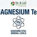 INR 500,  Reliable Magnesium Test For Supplement Monitoring & Dietary Assessment