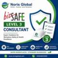 Trusted Bizsafe Level 3 Consultant Support