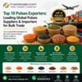 INR 52,  Top 10 Pulses Exporters: Leading Global Pulses Suppliers & Importers For Bulk Trade