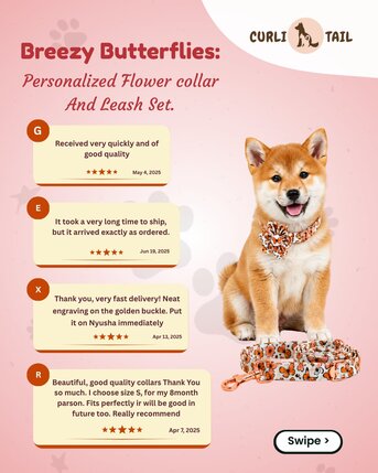 Dallas, Pet Supplies, USD 28,  Personalized Dog Collar With Flower &ndash; Cute Custom Dog Accessories