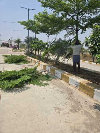 Hyderabad, Residential Plots, INR 24999,  211 Sq. Yard,  Plots For Sale In Ameerpet - Timmapur Near Bangalore Highway 9701498367