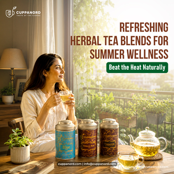 Noida, Business, Refreshing Herbal Tea Blends: Why Is Cuppanord Redefining The Beverage Experience In India