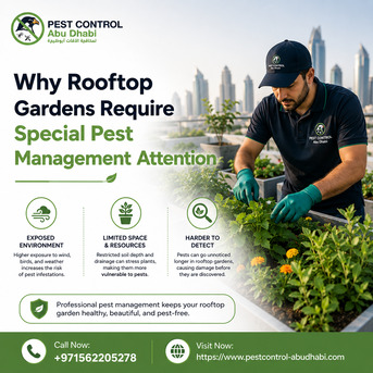 Abu Dhabi, Pest Control, Why Rooftop Gardens Require Special Pest Management Attention