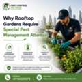 Why Rooftop Gardens Require Special Pest Management Attention