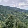 Luxury Villas In Sariska For Rent | 6 BHK Villa