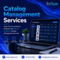 Scale Your E-commerce Business With EnFuse Solutions&rsquo; Catalog Management Services