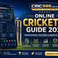 Beginner Guide To Online Cricket ID &ndash; Everything You Need To Know