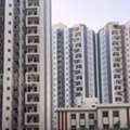 How Many Acres Does The Amrapali Dream Valley Touchzone 4 Project Span, And How Many Flats