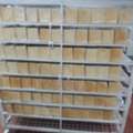 Bread Baker