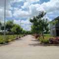 INR 22000,  219 Sq. Yard,  HMDA & RERA  APPROVED Open Plots For Sale @ Maheshwaram
