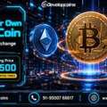 Launch Your Own Crypto Coin + Get Guaranteed Exchange Listing Services!