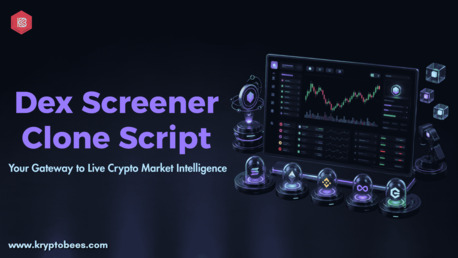 New York, Legal, Build A User-Friendly Crypto Data Platform With Dex Screener Clone Script
