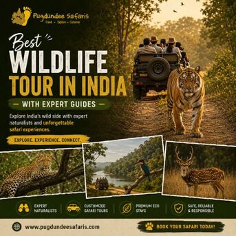 Gurgaon, Travel, Best Wildlife Tour In India With Expert Guides