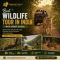 Best Wildlife Tour In India With Expert Guides