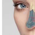 Transform Your Facial Balance With The Best Non-Surgical Rhinoplasty Surgeon In Delhi