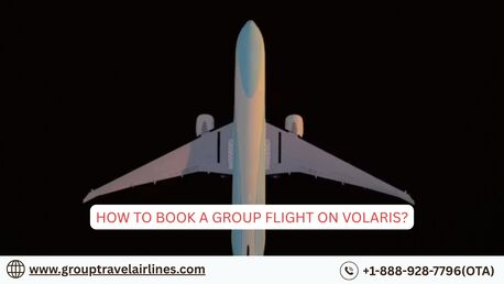 New York, Travel, How To Book A Group Flight On Volaris?