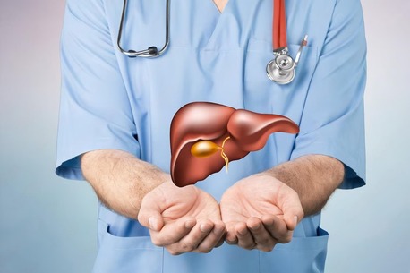 Jaipur, Health, Liver Transplant Excellence In Jaipur - Expert Liver Care