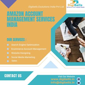 Noida, Business, Are Amazon Account Management Services India The Key To Better Marketplace Results?