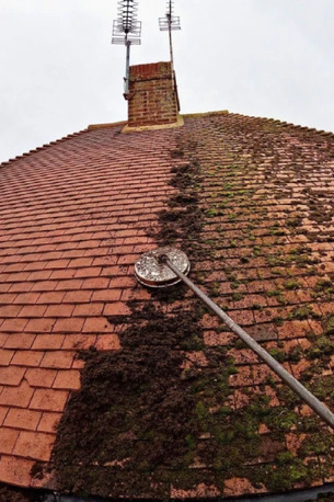 Sydney, Construction, Roof Moss Removal Central Coast &ndash; Bass Roof Restoration