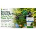 USD 70,  Beneficial Bacteria For Ponds: Natural Pond Algae Control &ndash; Biopro Solution