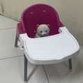 SAR 100,  Kids High Chair &ndash; Pink (Good Condition)