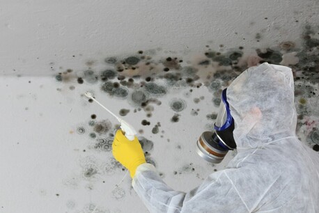 London, Cleaning, Hazard Clean Team
