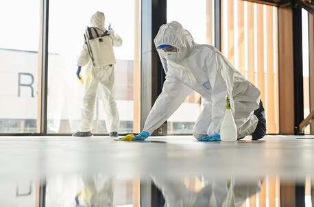 London, Cleaning, Hazard Clean Team